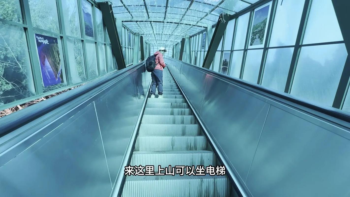 地址:離石家莊,邢臺很近,離邯