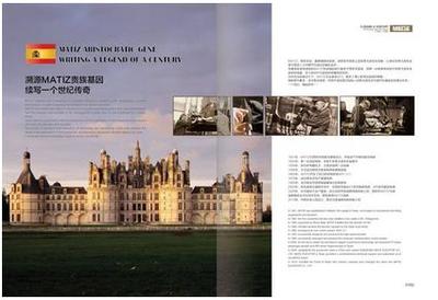 華中最大凍品交易平臺在武漢落戶 美迪斯電梯實力&ldquo;助跑&rdquo;|電梯|武漢|技術_新浪新聞